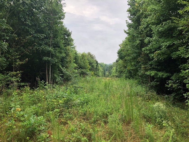 Escape at Birch Elmo in Southern VA