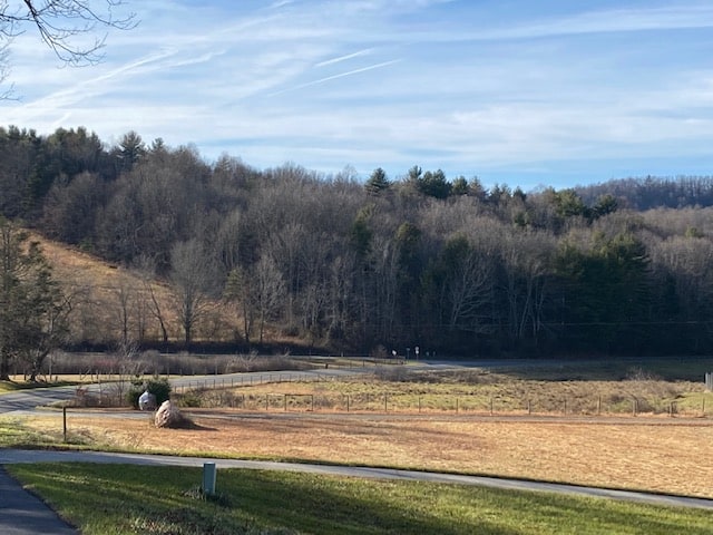 RECREATIONAL LAND FOR SALE IN FLOYD VA