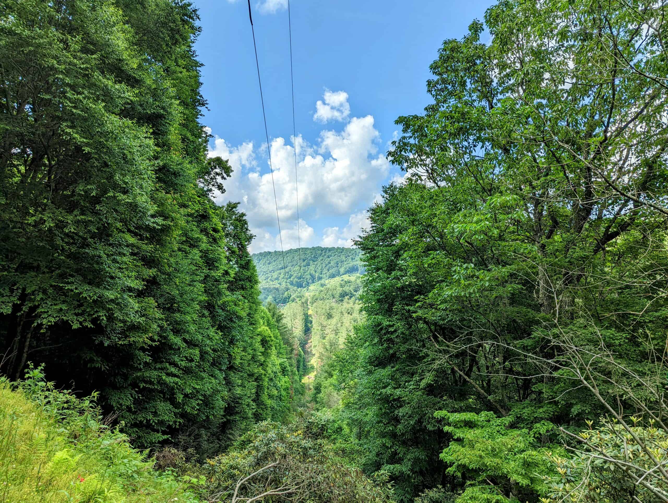 HUNTING LAND FOR SALE IN GRAYSON COUNTY VA!