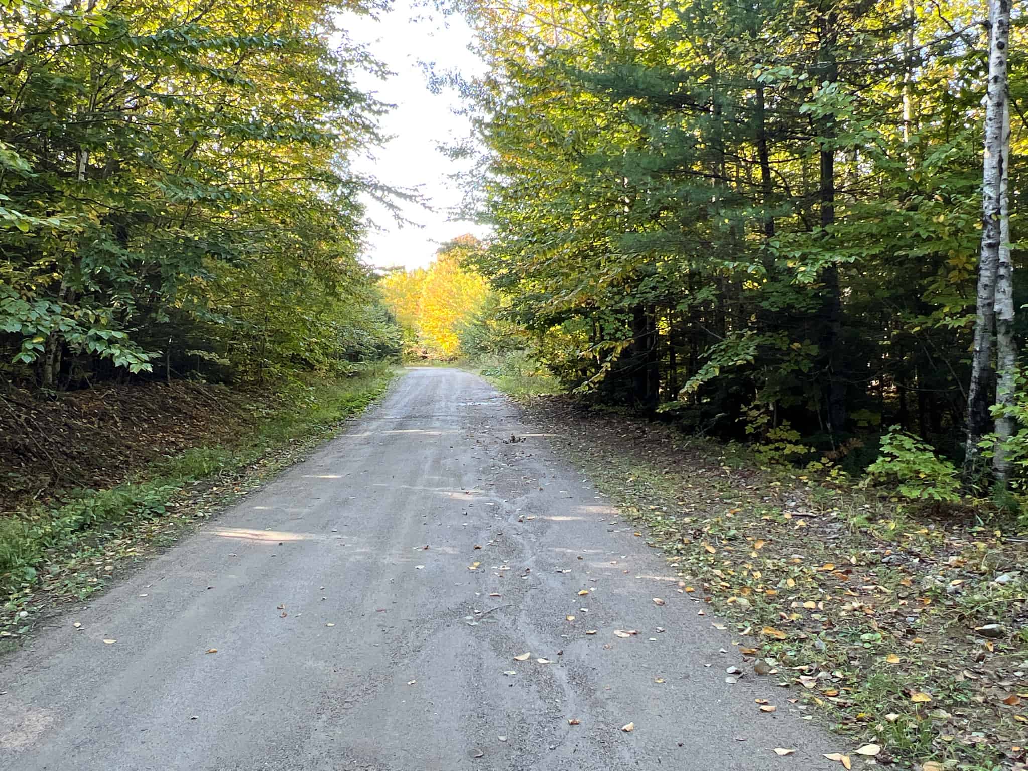 Maine Timberland Lot for Sale