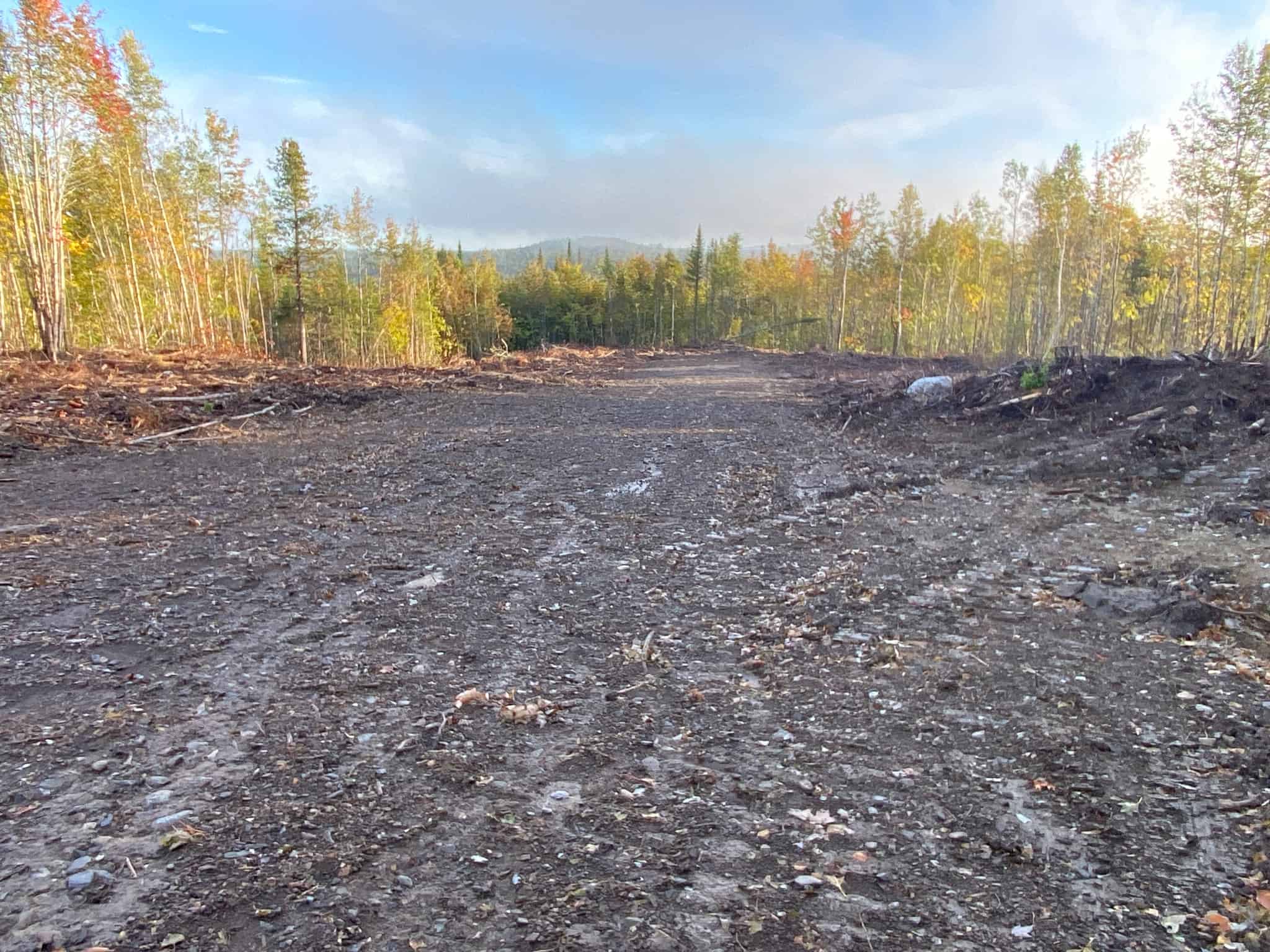 Affordable Land with a View