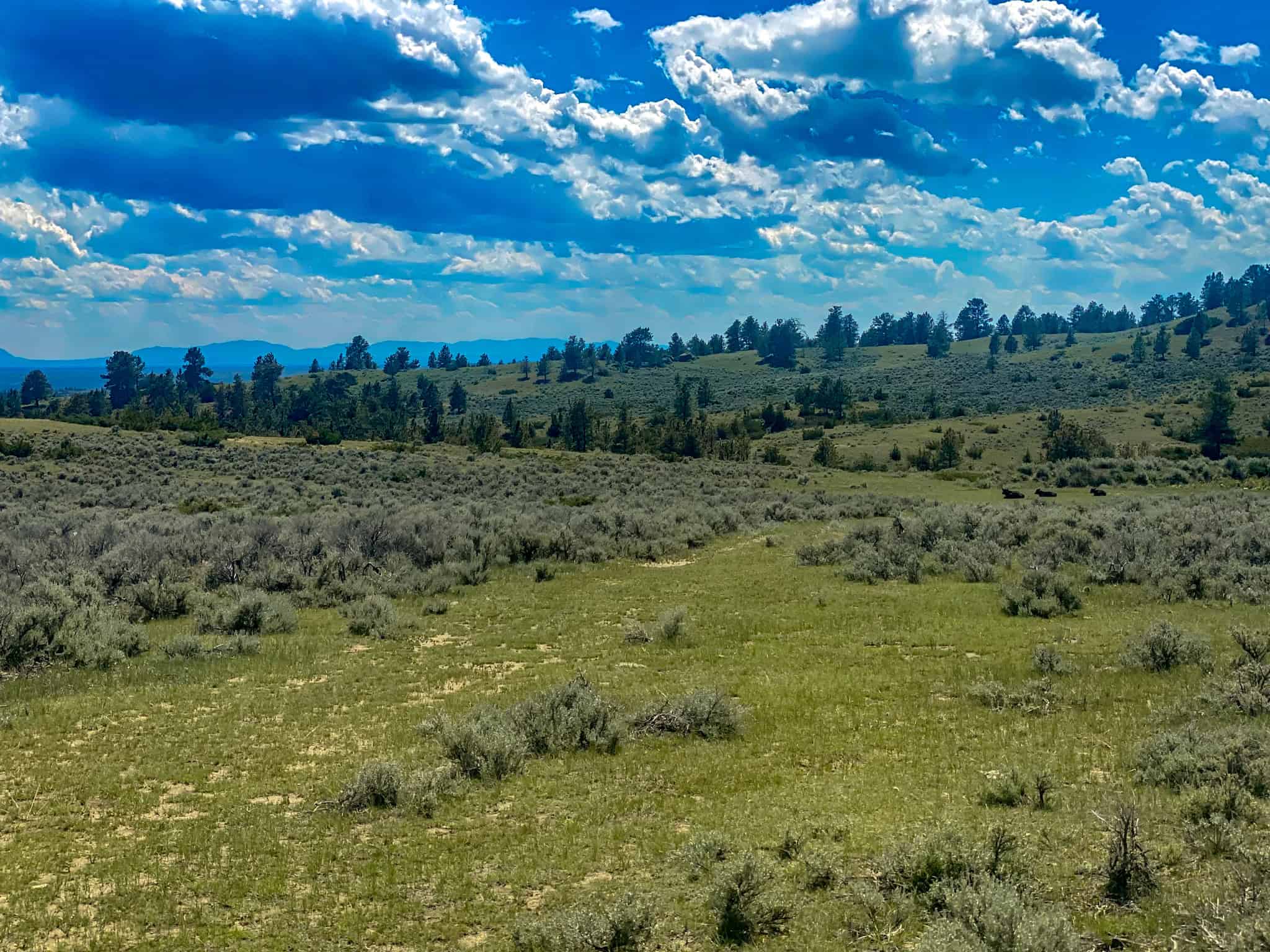 Montana Missouri River Breaks Working Cattle Ranch, Hunting Property