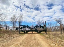Southside Hunting Shares for Sale in Jefferson County, MS