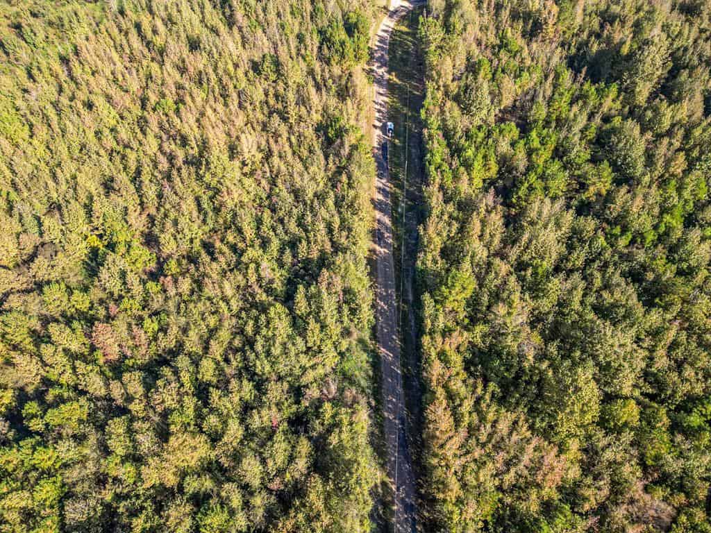 38 Acres – Small Land for Sale in Copiah County, MS
