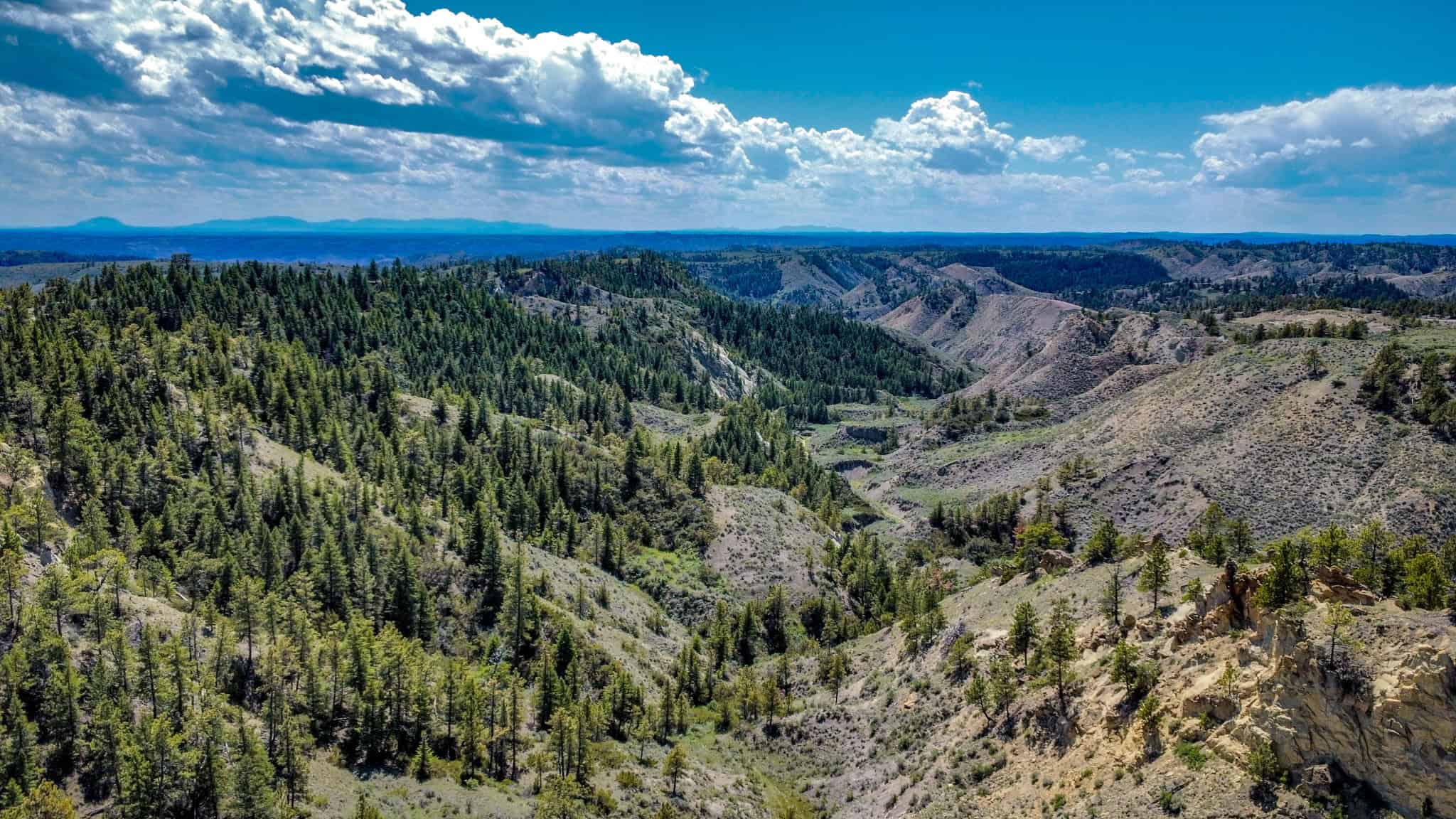 Montana Missouri River Breaks Working Cattle Ranch, Hunting Property