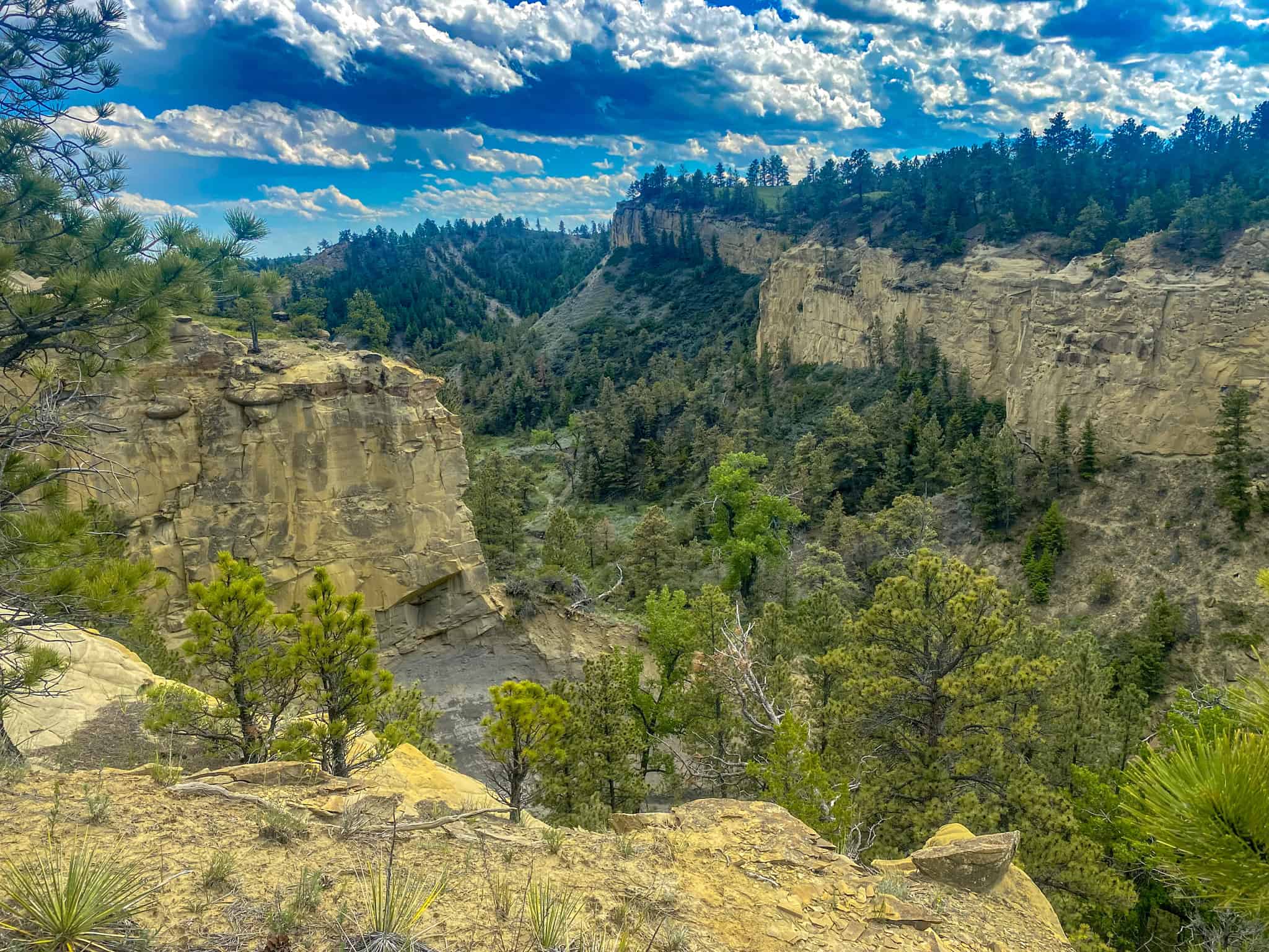 Montana Missouri River Breaks Working Cattle Ranch, Hunting Property