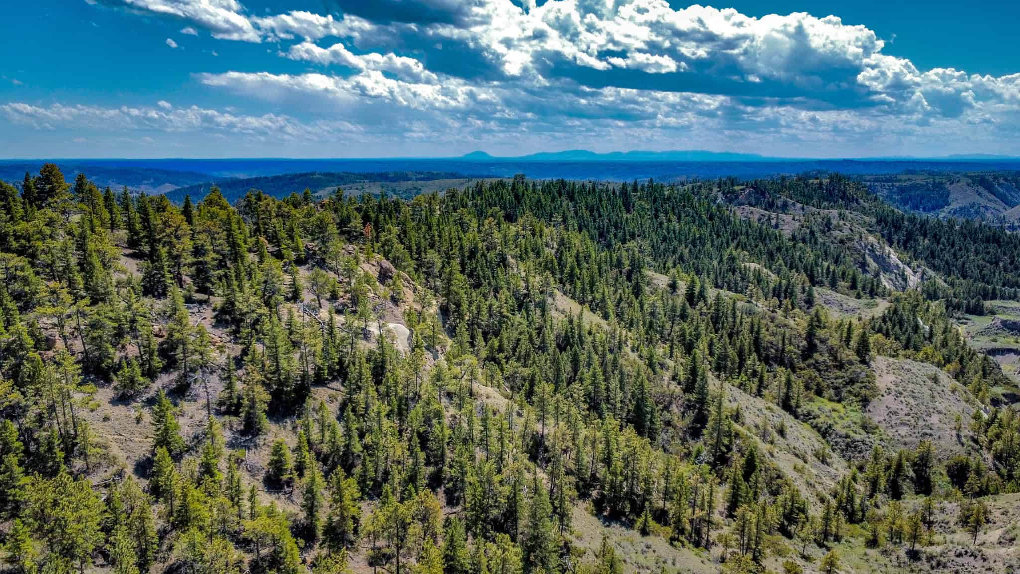 Montana Missouri River Breaks Working Cattle Ranch, Hunting Property