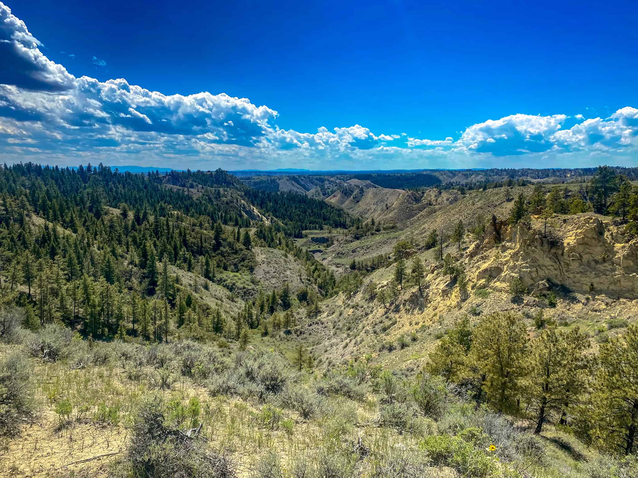Montana Missouri River Breaks Working Cattle Ranch, Hunting Property