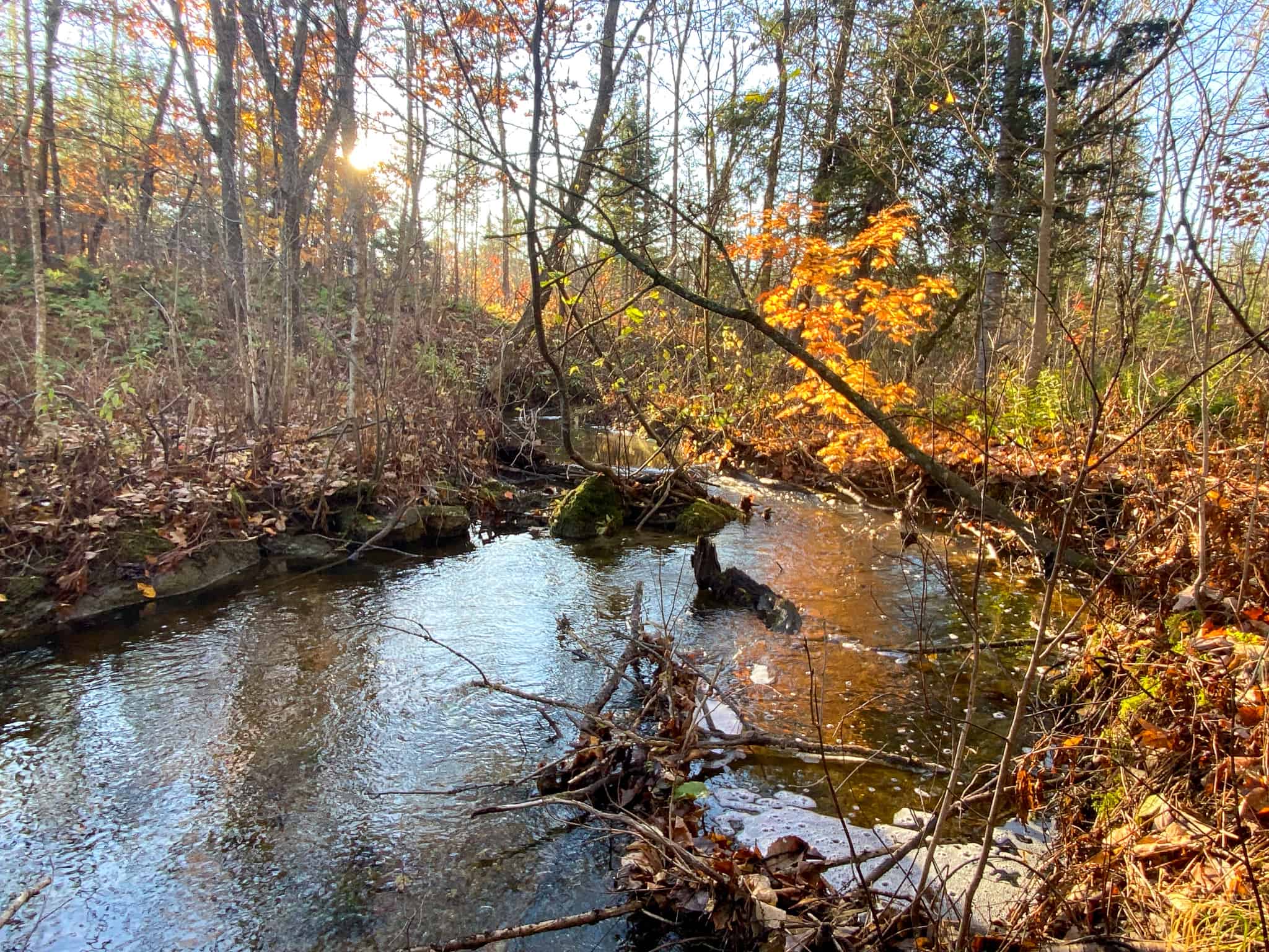 Year-Round Accessible Country Land for Sale