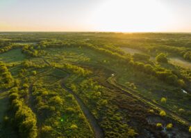 Texas Hunting Land for Sale South of Dallas in Palmer