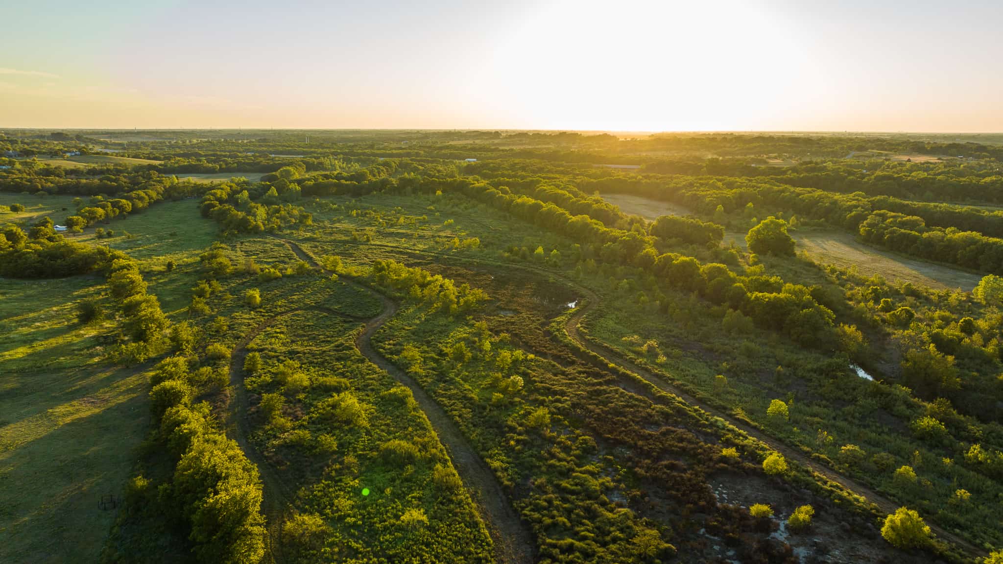 Texas Hunting Land for Sale South of Dallas in Palmer
