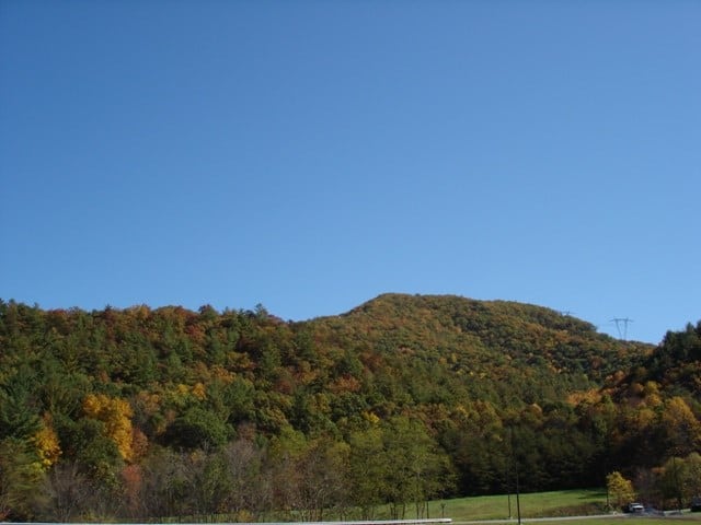 Large Acreage Hunting And Recreational Tract In Bland VA
