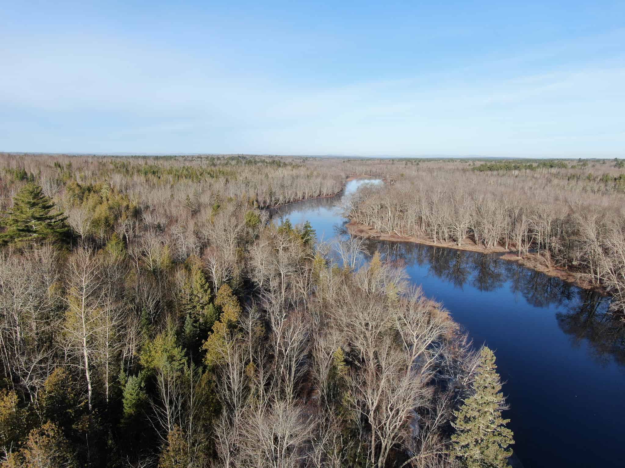 Big Timberland & Stream Frontage Near Bangor