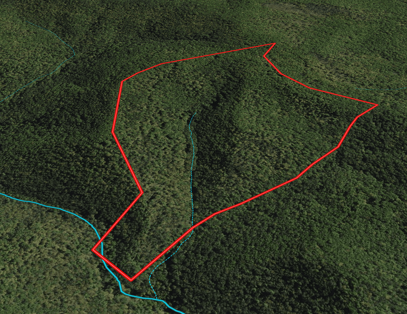 Wooded Recreational Land for Sale in Hiwassee VA!