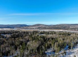 100 Acre Timberland Parcel with a Trout Stream Cabin