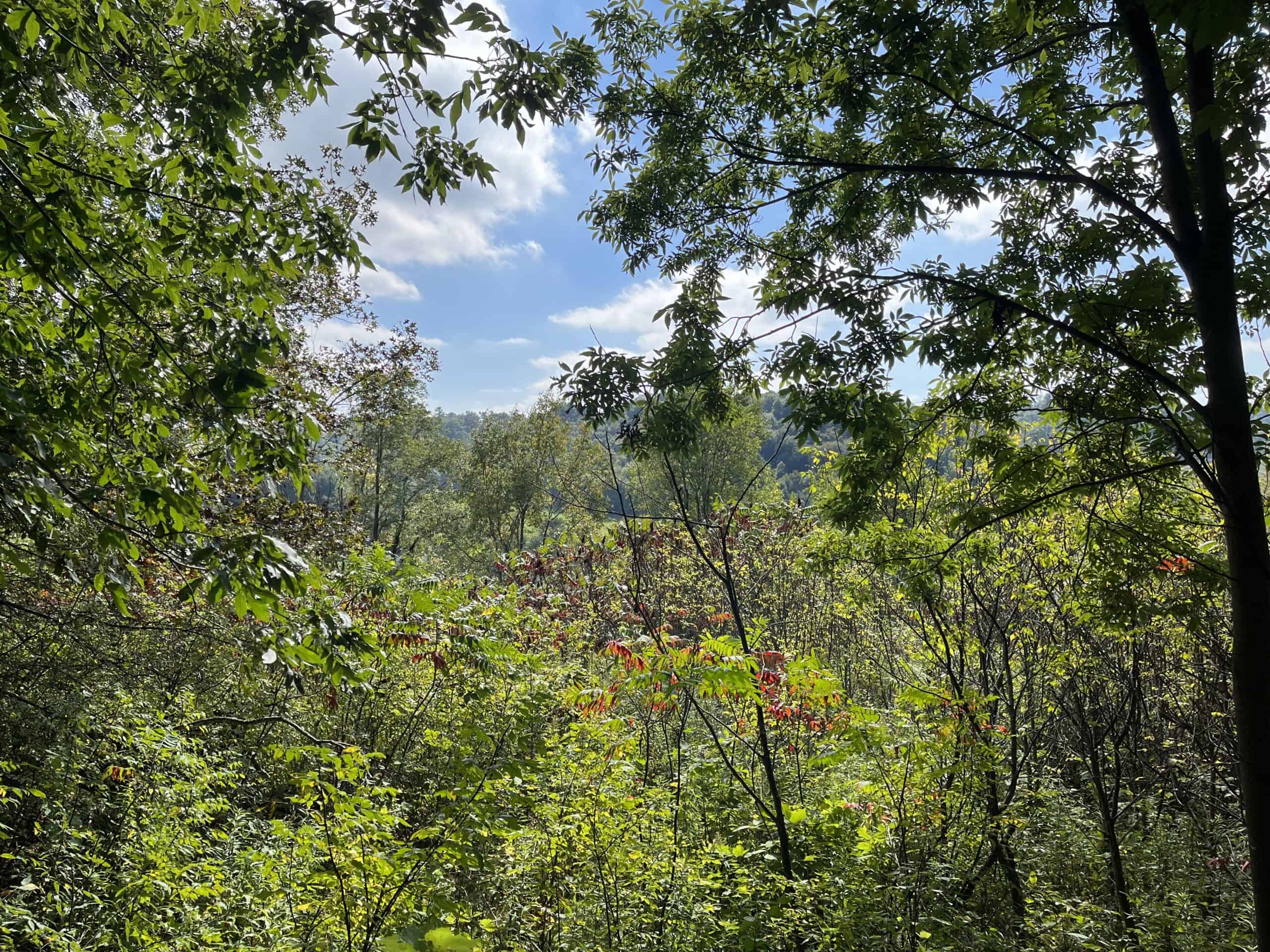 Coulee Country, Monroe County Land For Sale