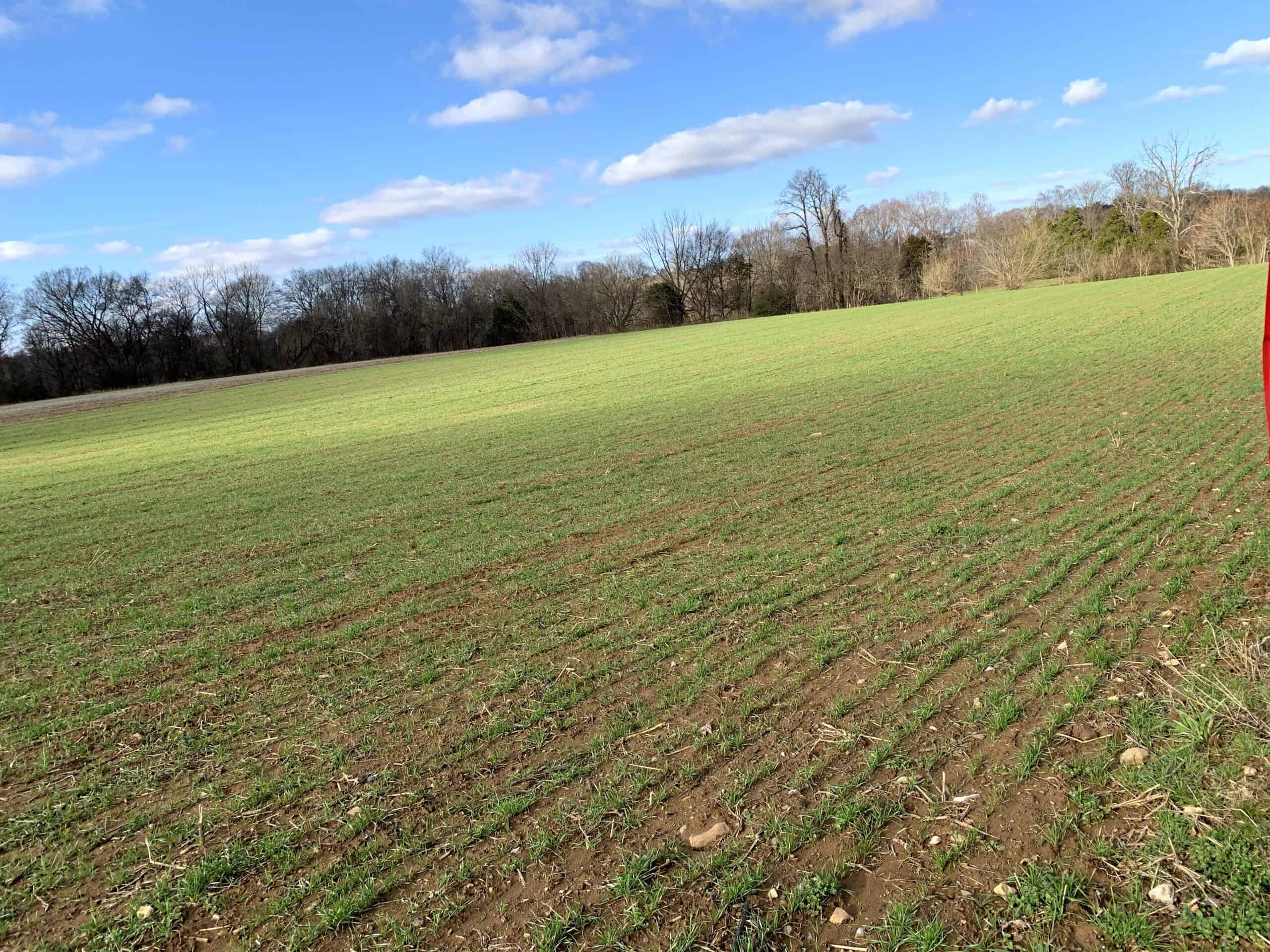 Riverfront Farm for Sale Nolichucky River Washington County TN