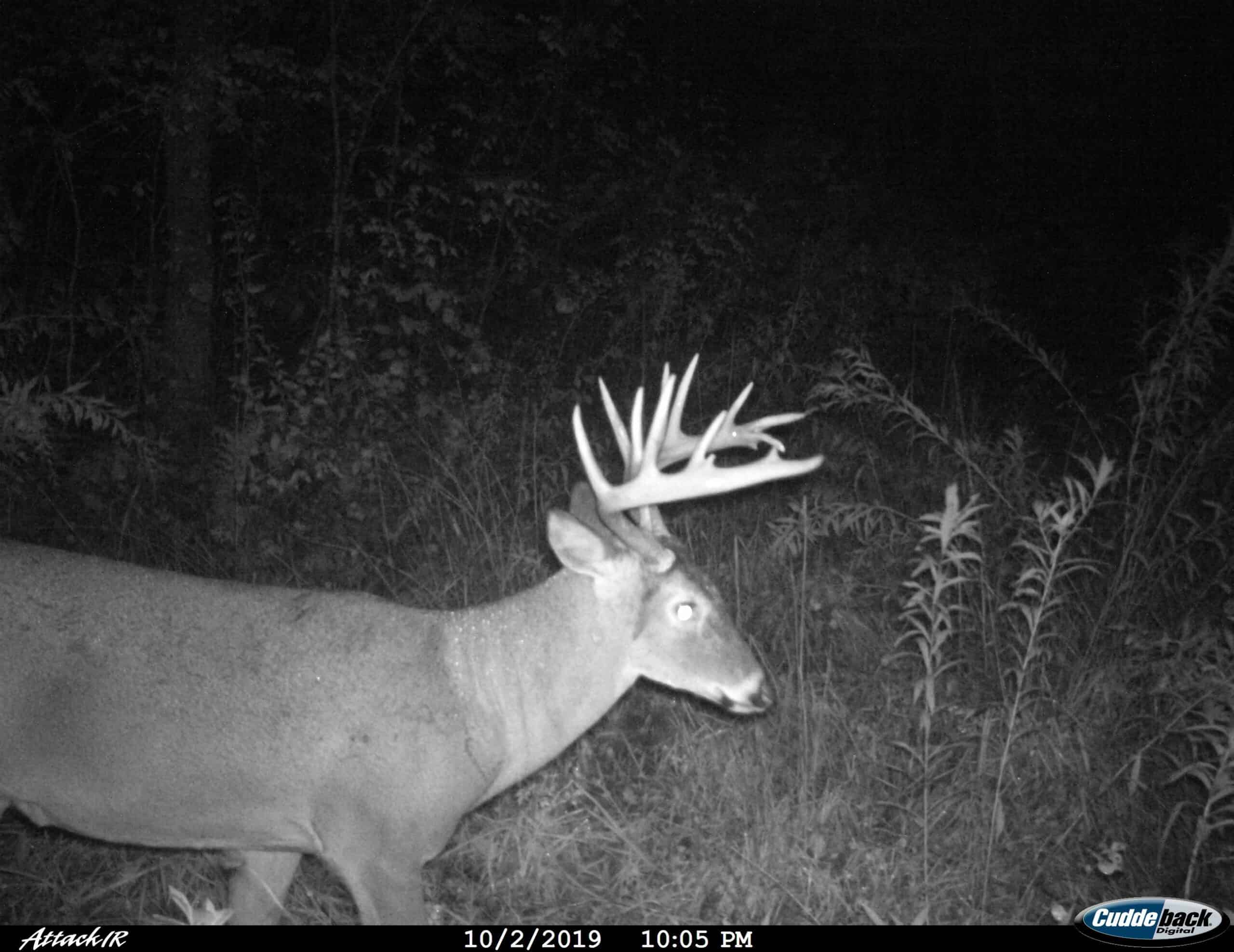 Primo Hunting Land for Sale in Southwest Wisconsin