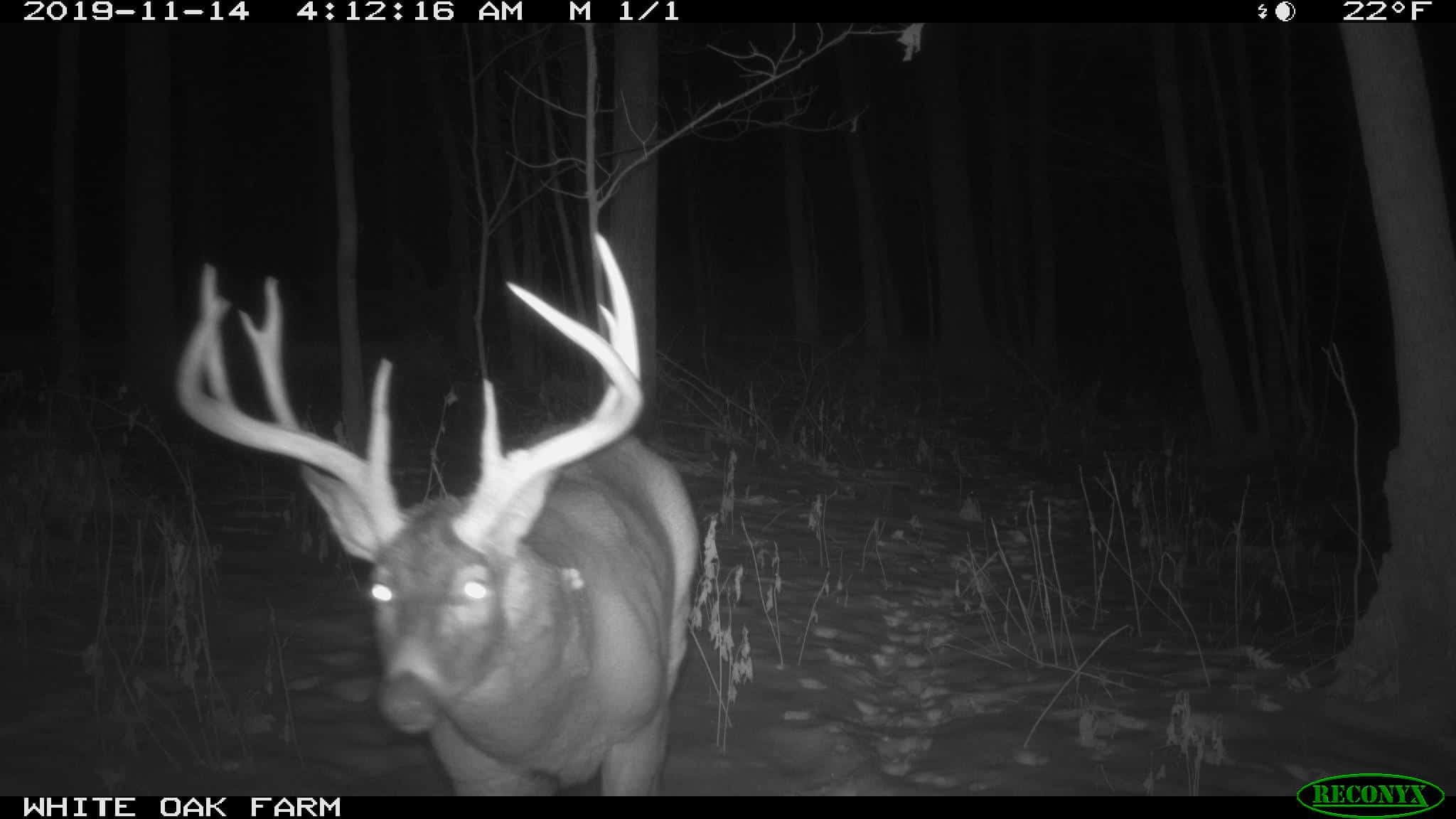 Sensational Recreational and Hunting Property for Sale in Crawford County, WI