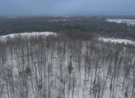 Recreational and Hunting Land for Sale in Antigo, WI