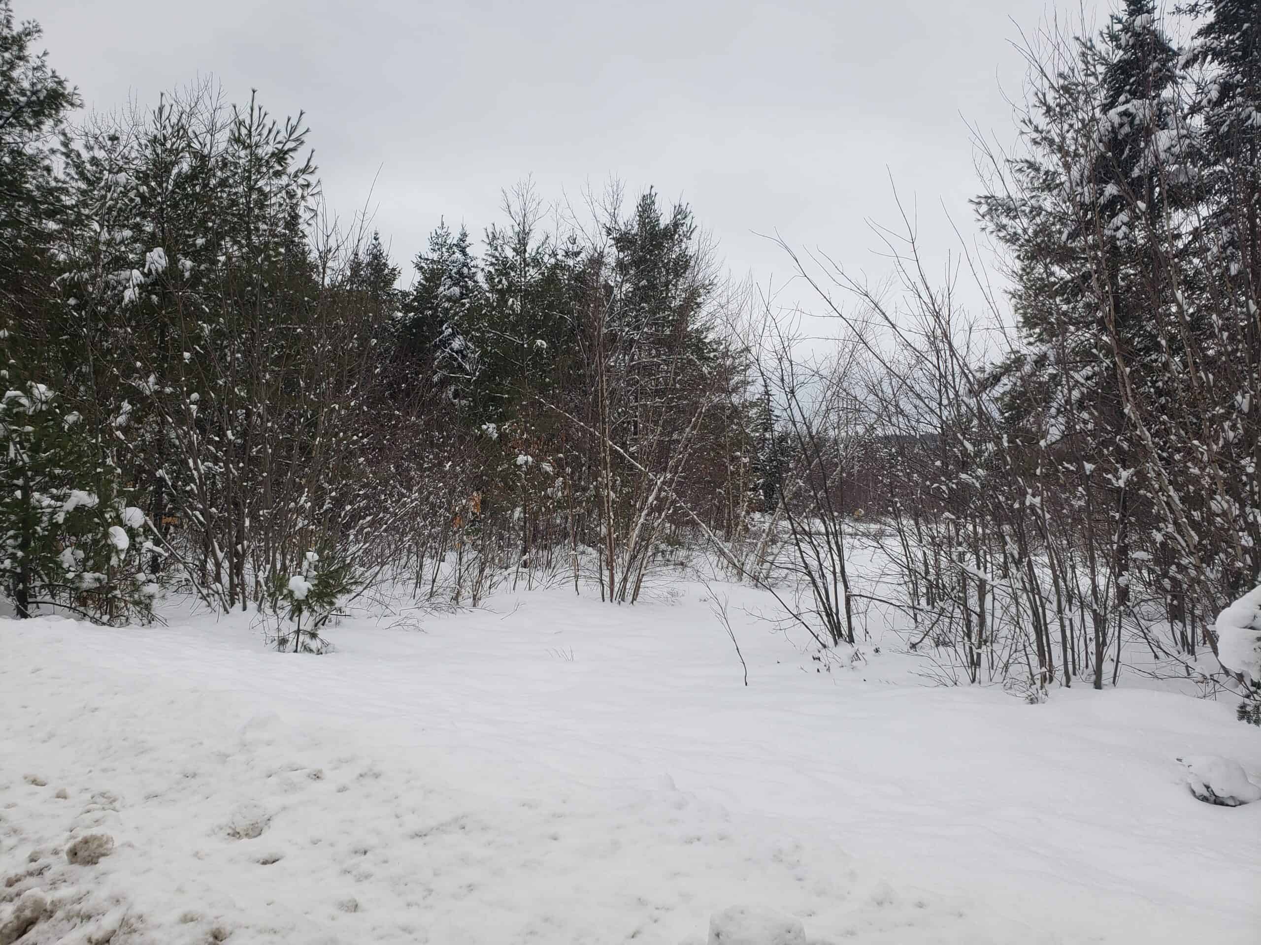45 acres of recreational property for sale