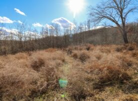 Land for Sale in The Blue Ridge Mountains