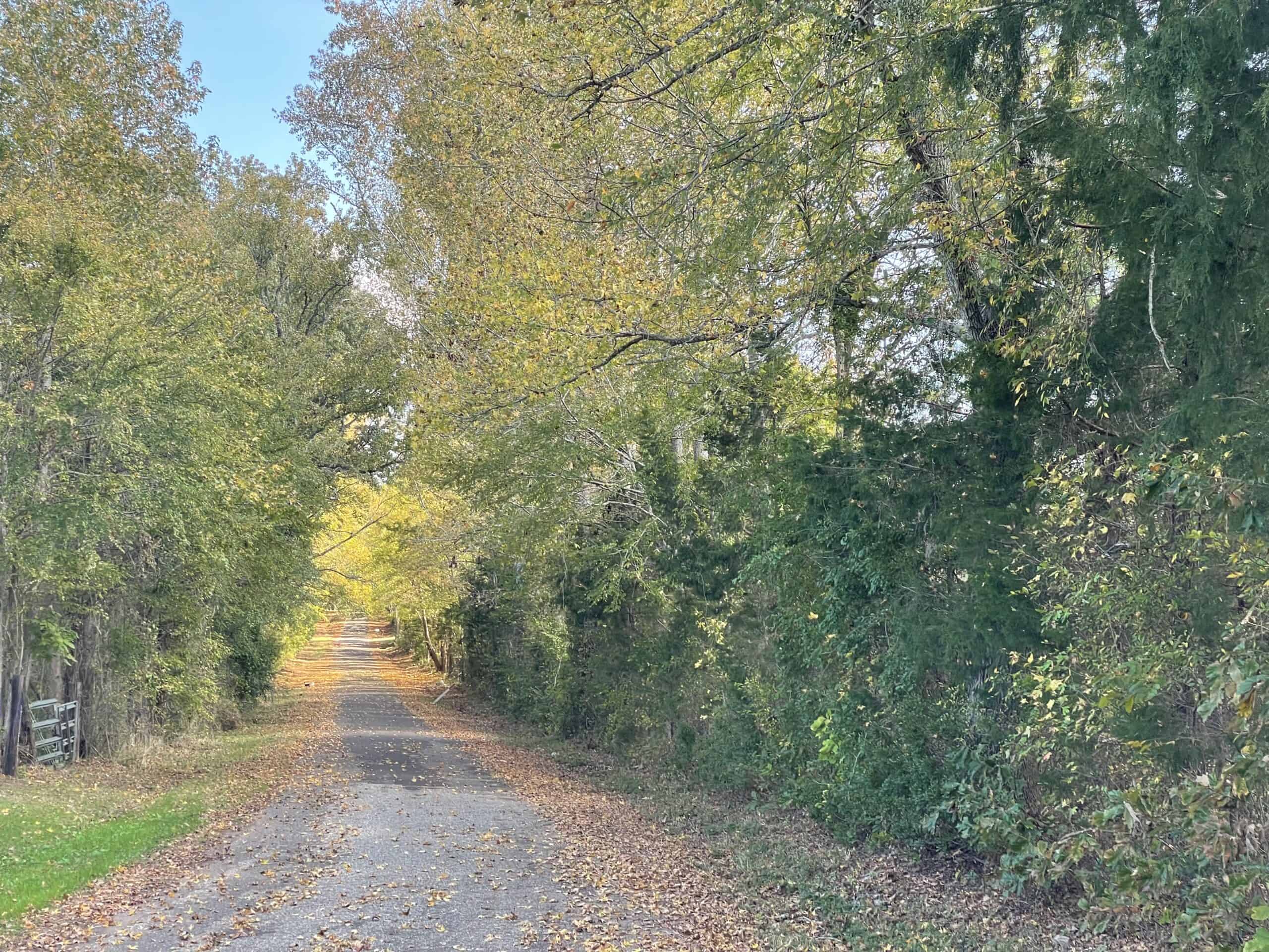 East TX Small Acreage Hunting Land for Sale