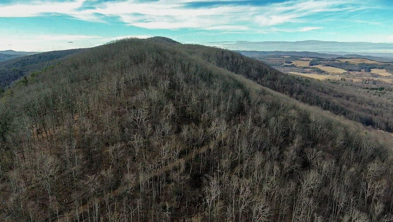 Hunting Land for Sale in Floyd VA