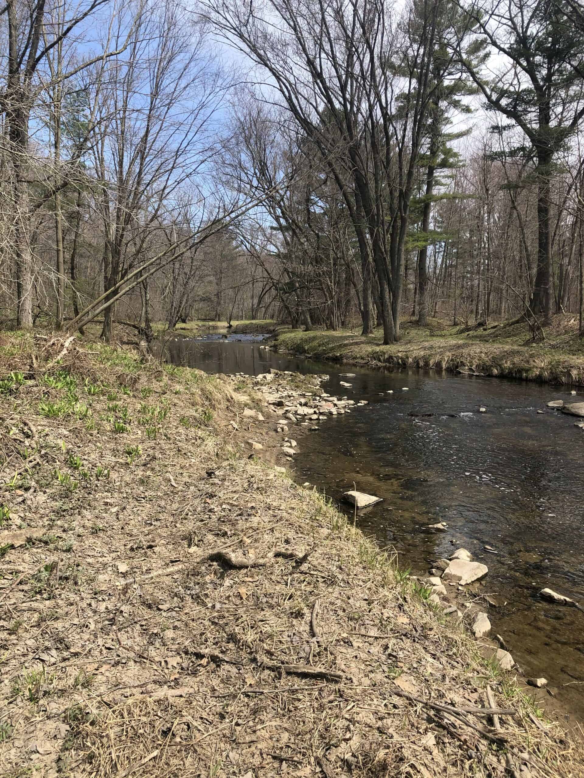 Diverse Northwoods Property CLark County WI