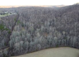 Land for Sale in Stuart VA