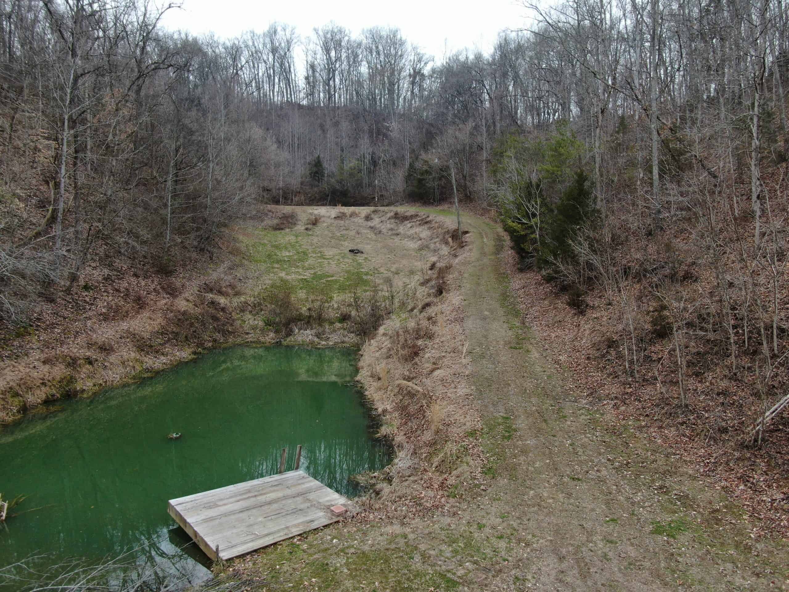 East Tennessee Vacant Land in Seymour, TN, for Sale, Offers Endless Possibilities