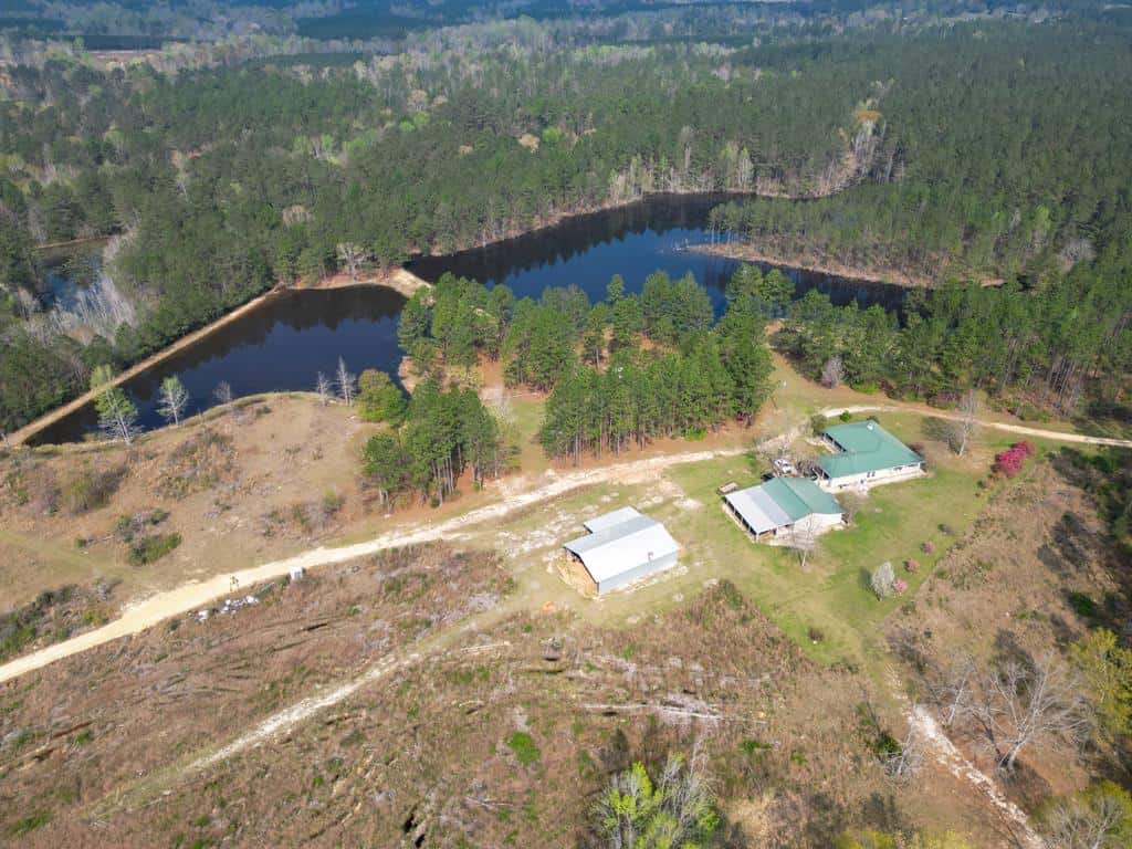 Hunting Land For Sale in Lamar County, MS 268 Acres