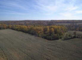 Knox County Dream Hunting Property
