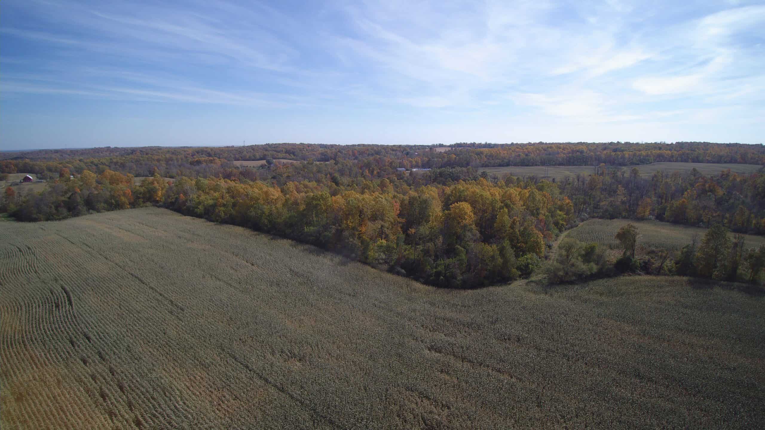 Knox County Dream Hunting Property