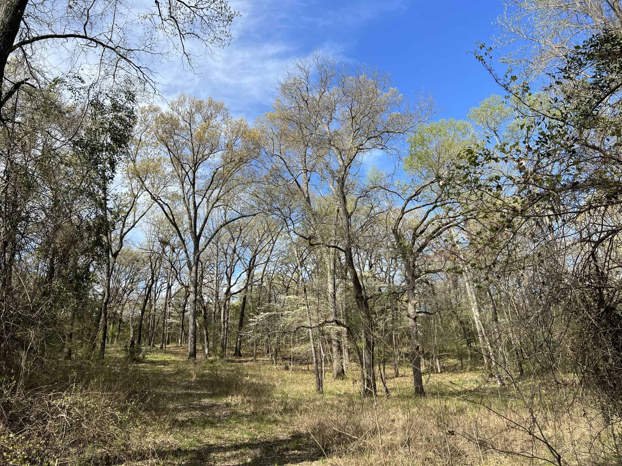 East Texas rural land for sale in Smith County
