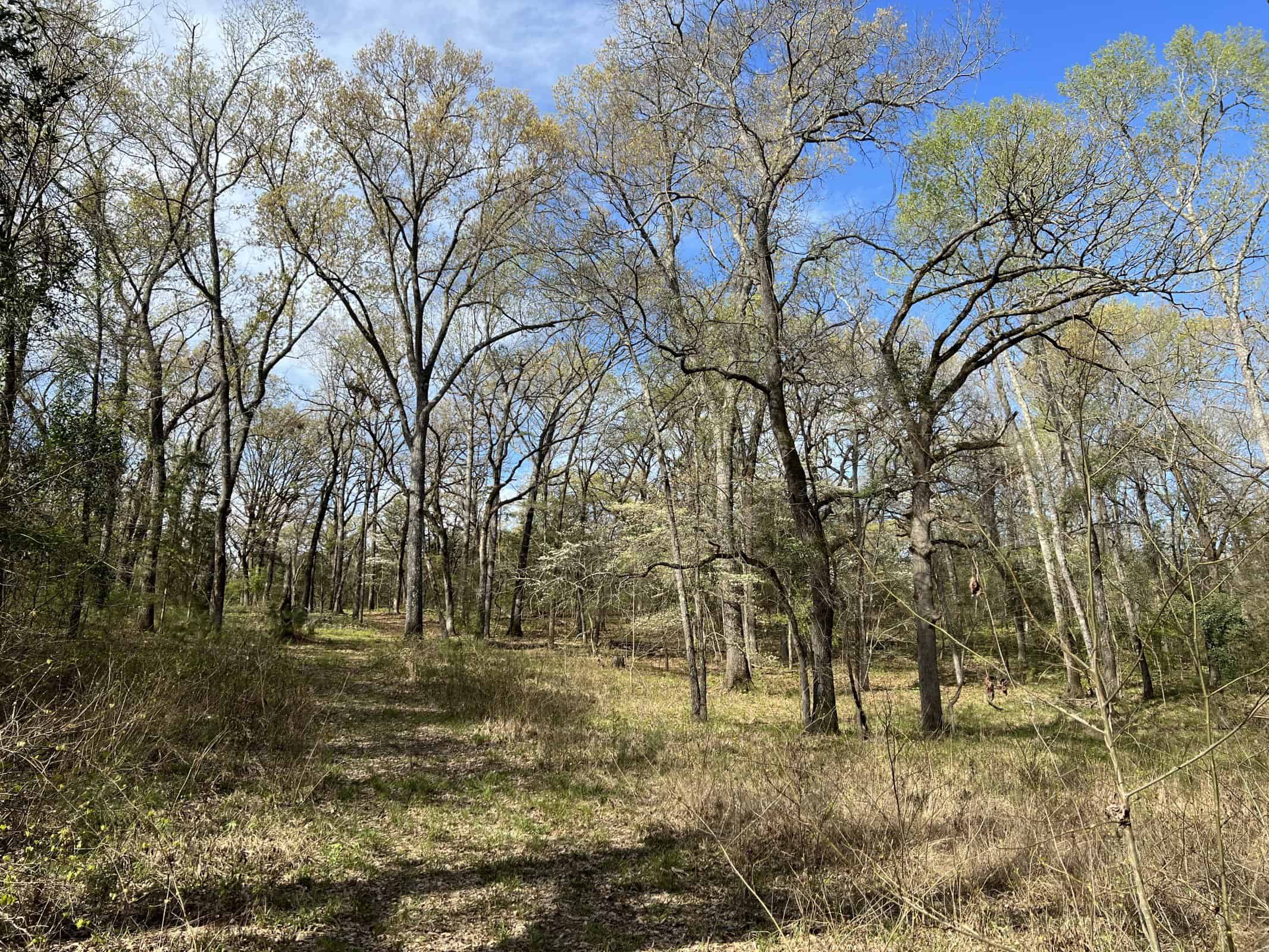 East Texas rural land for sale in Smith County