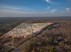 Hunting Land and Homesites in East Texas