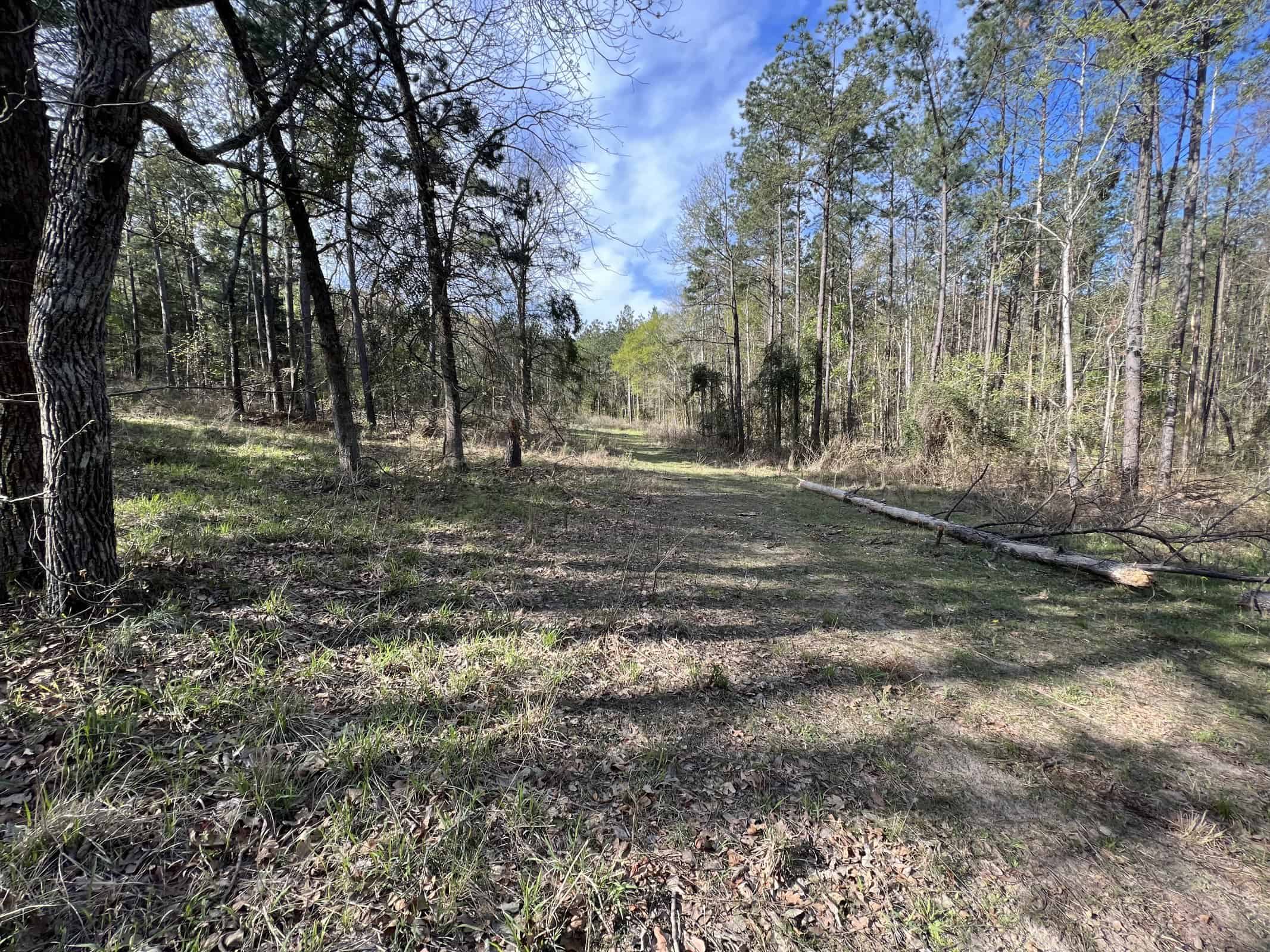 East Texas rural land for sale in Smith County