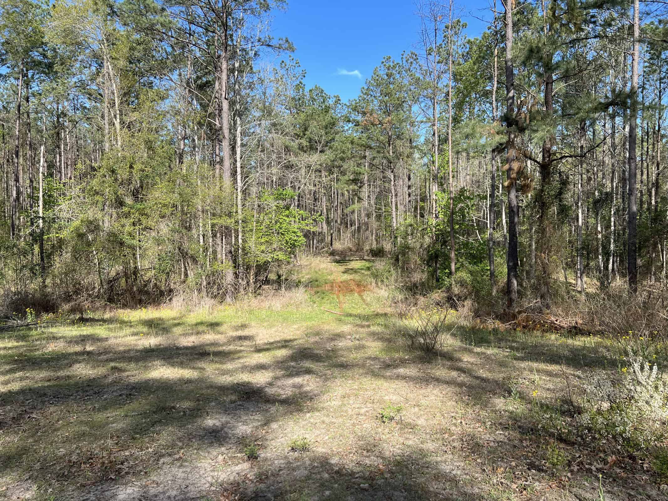 East Texas rural land for sale in Smith County
