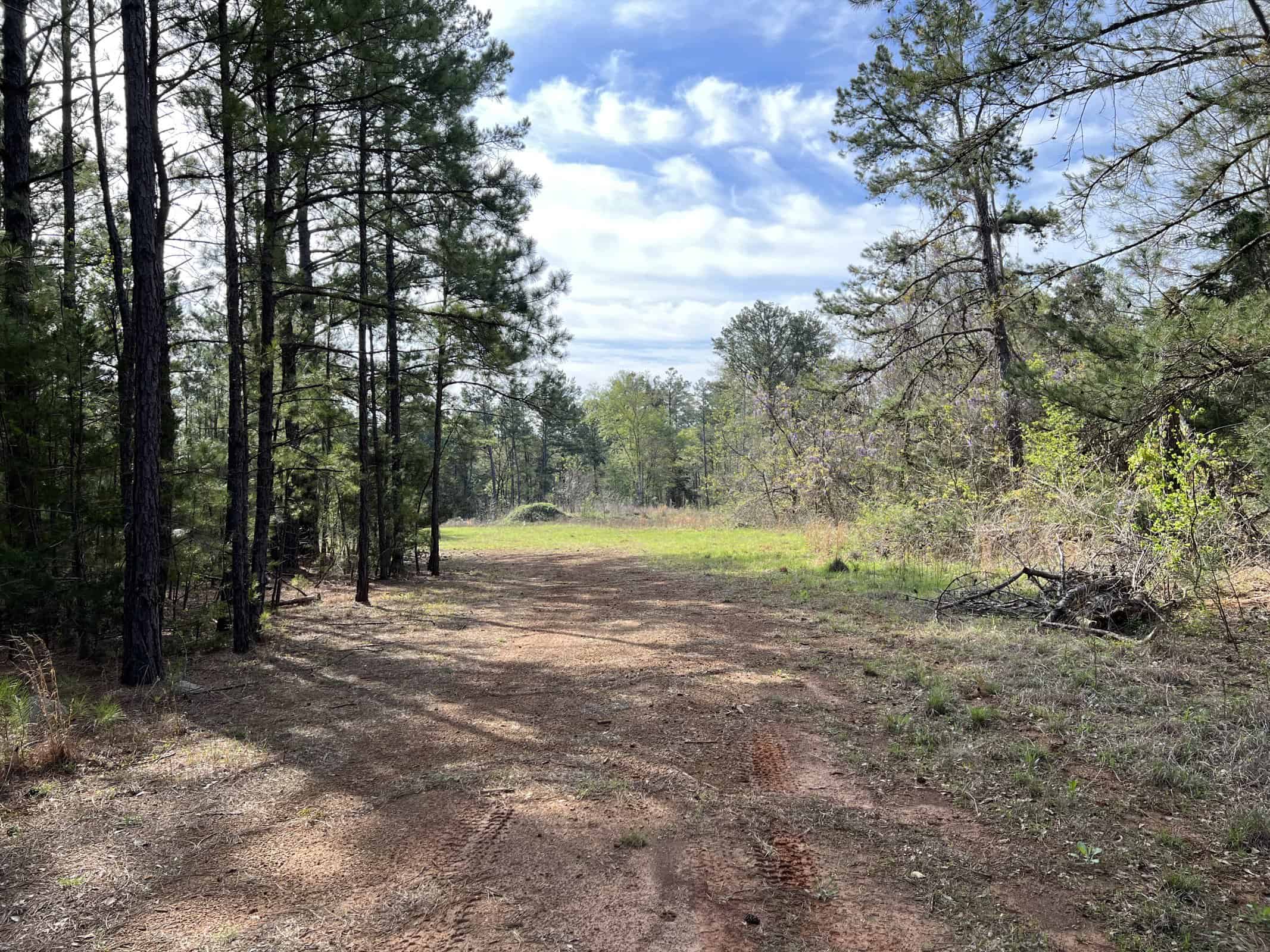 East Texas rural land for sale in Smith County