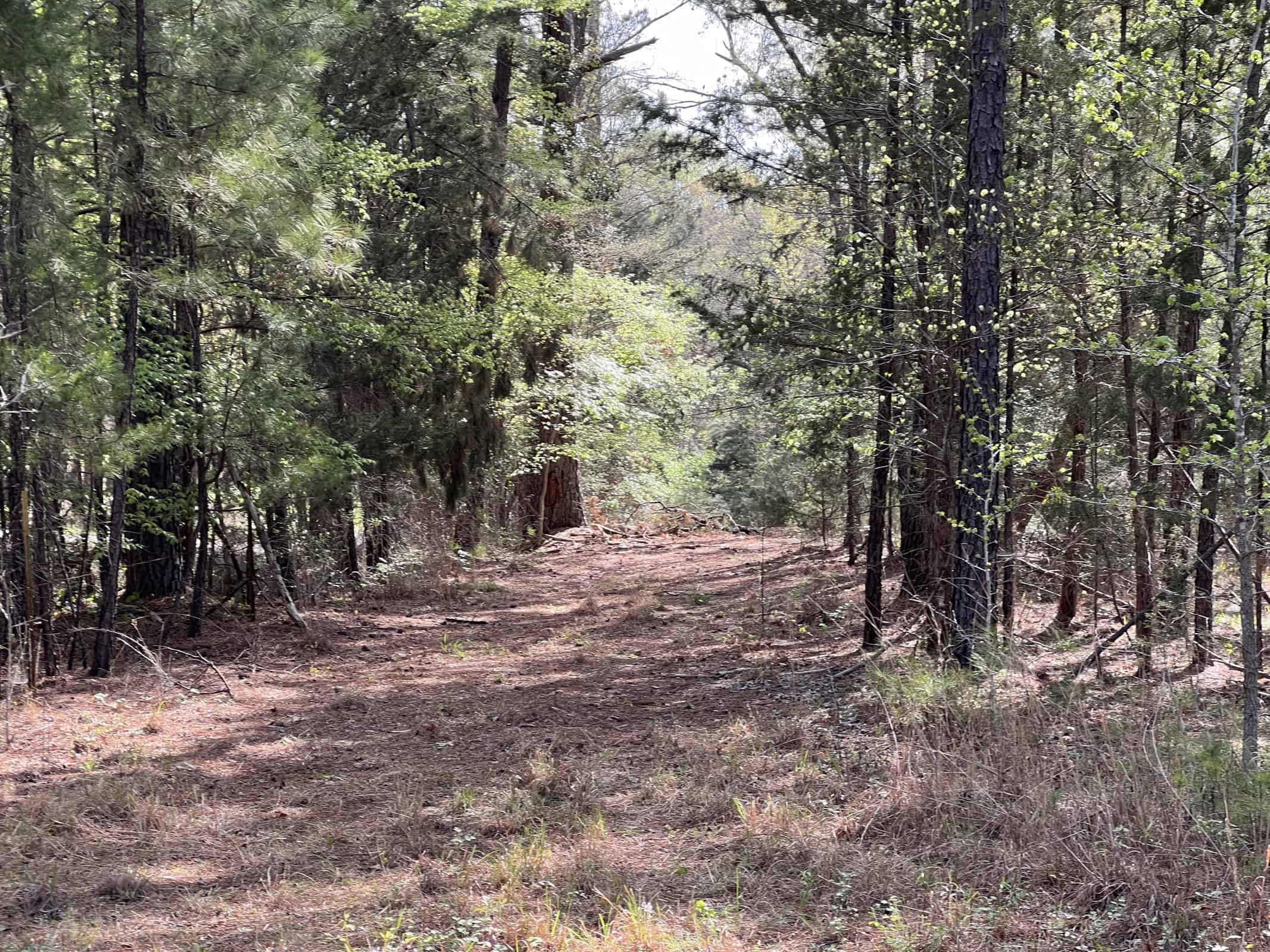 East Texas rural land for sale in Smith County