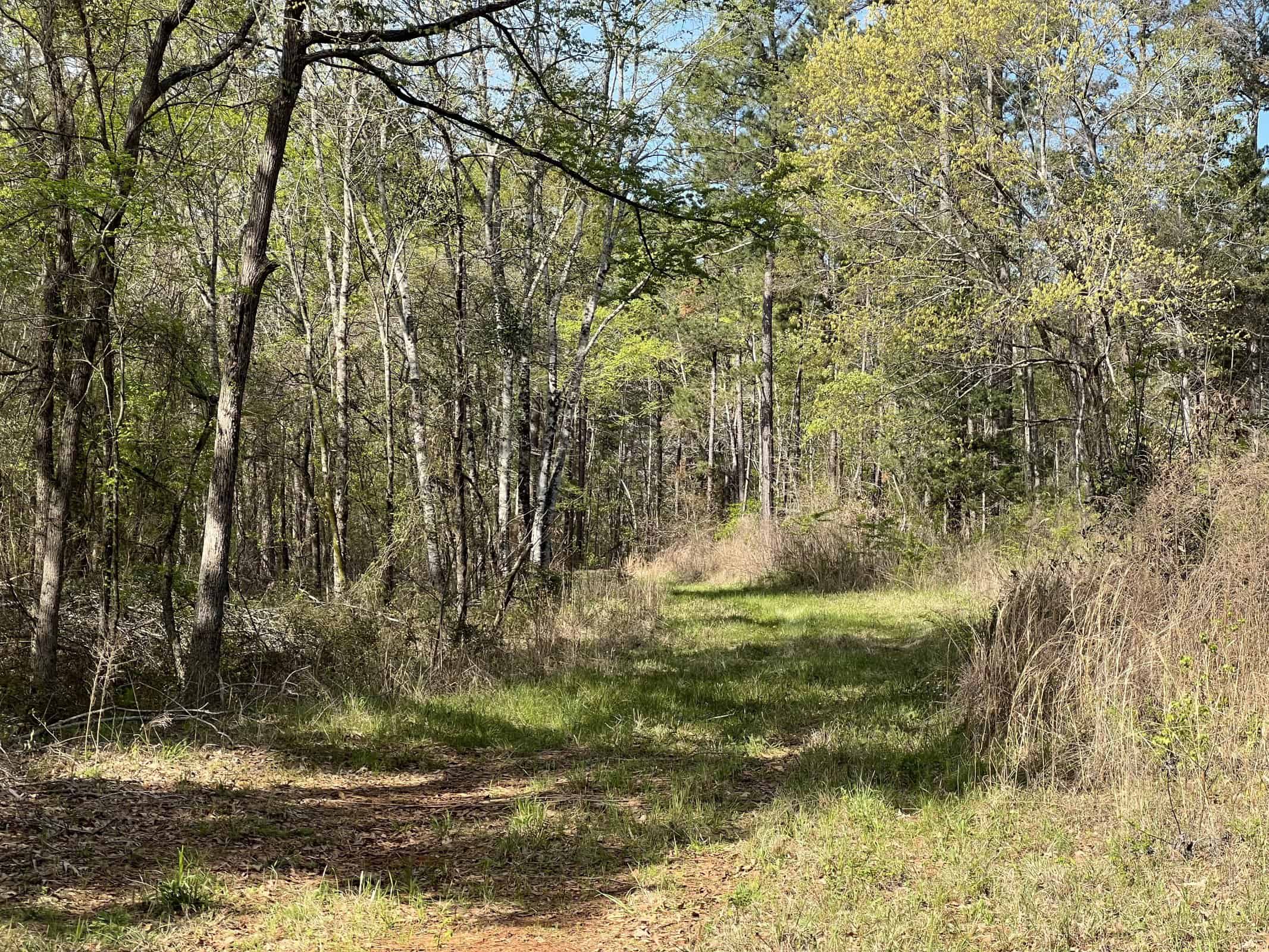 East Texas rural land for sale in Smith County