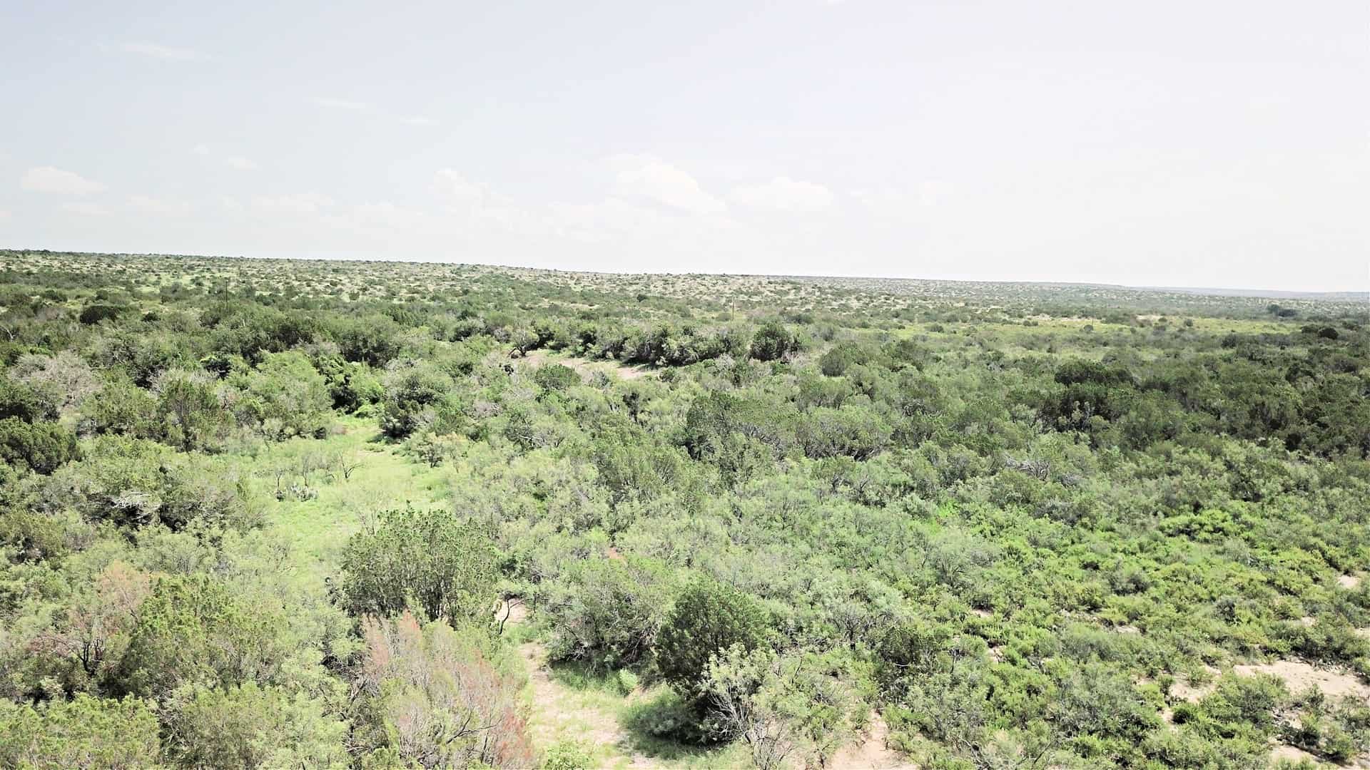Hunting & Recreational Ranch For Sale | Val Verde County, TX