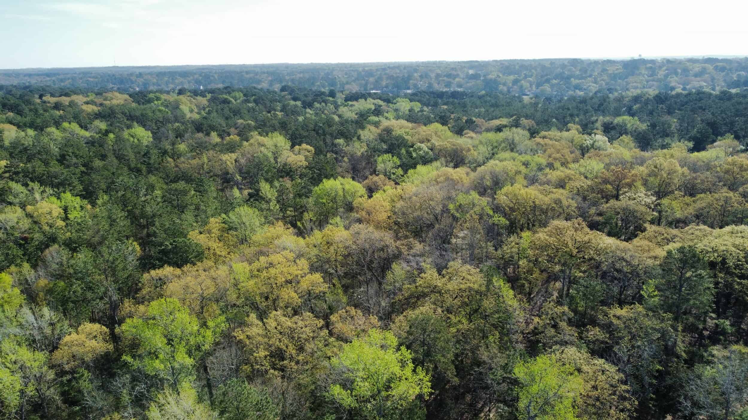 East Texas rural land for sale in Smith County