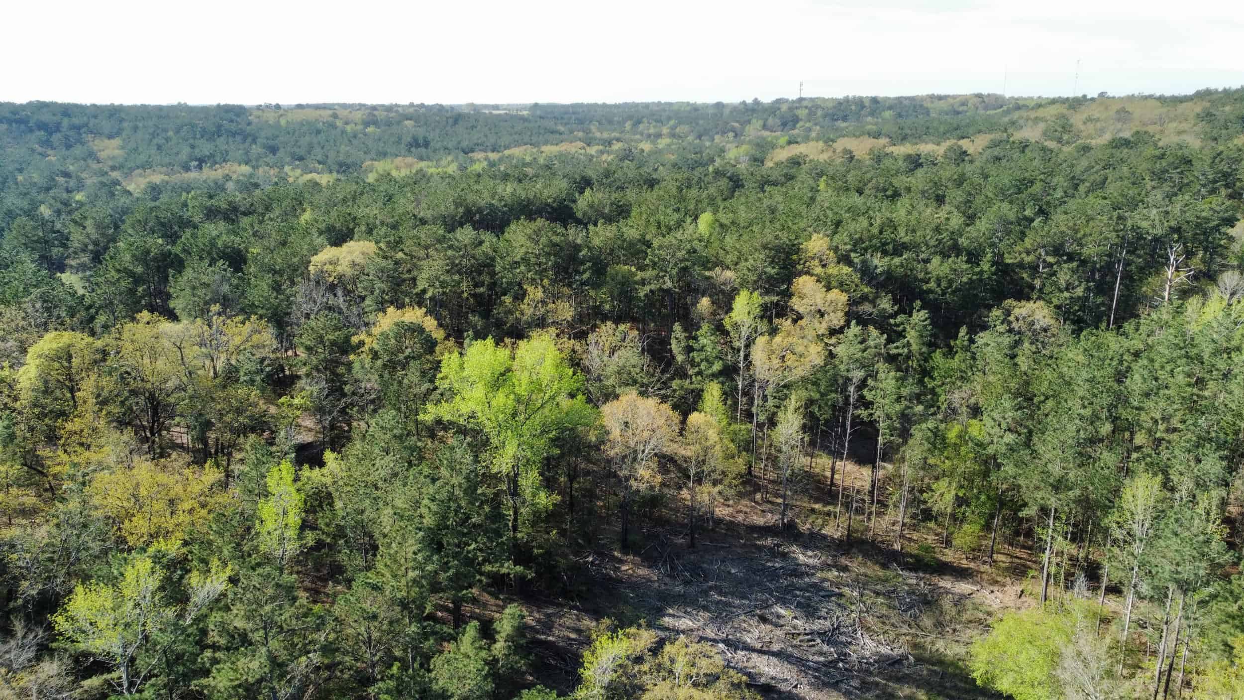 East Texas rural land for sale in Smith County