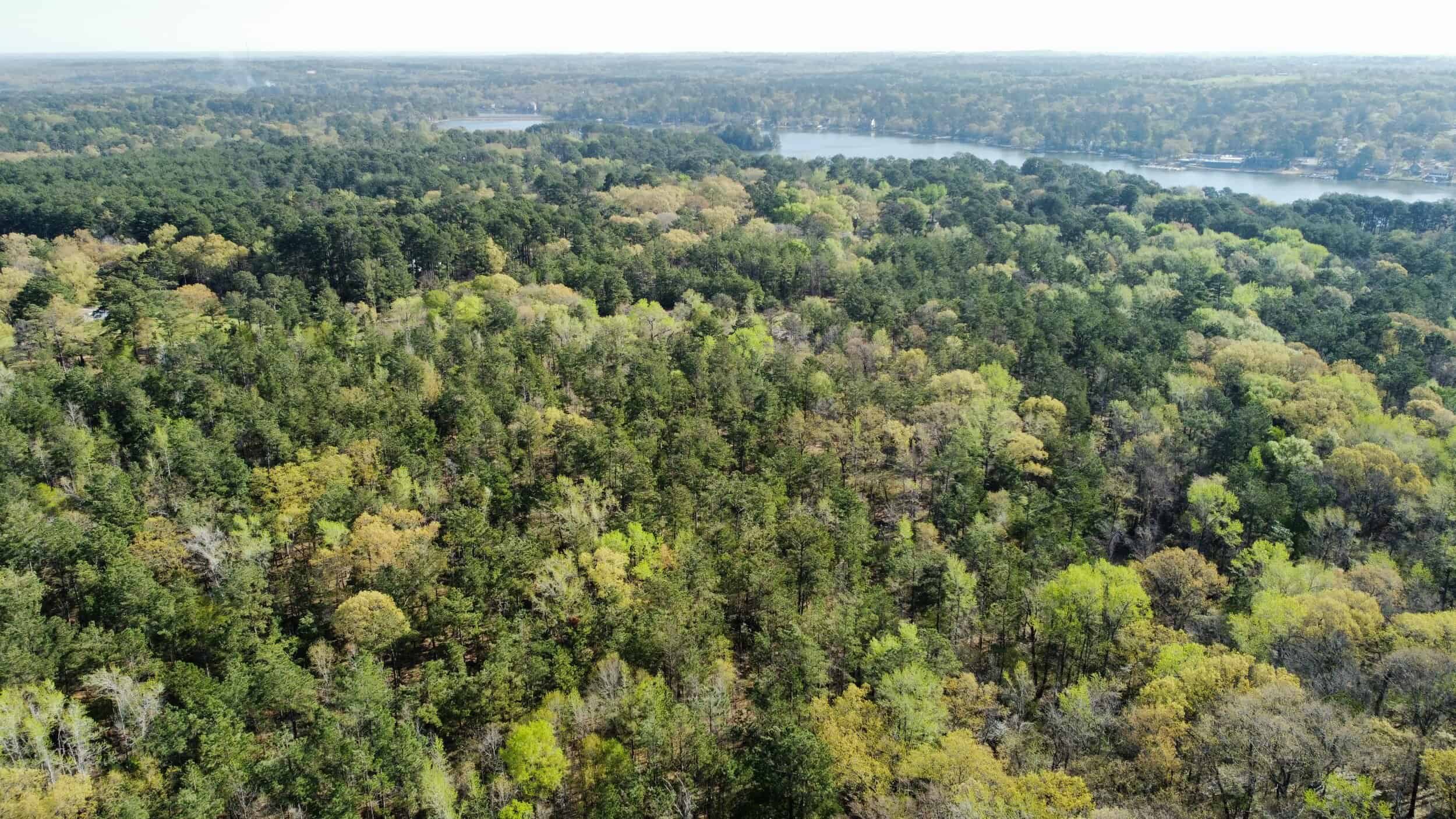 East Texas rural land for sale in Smith County
