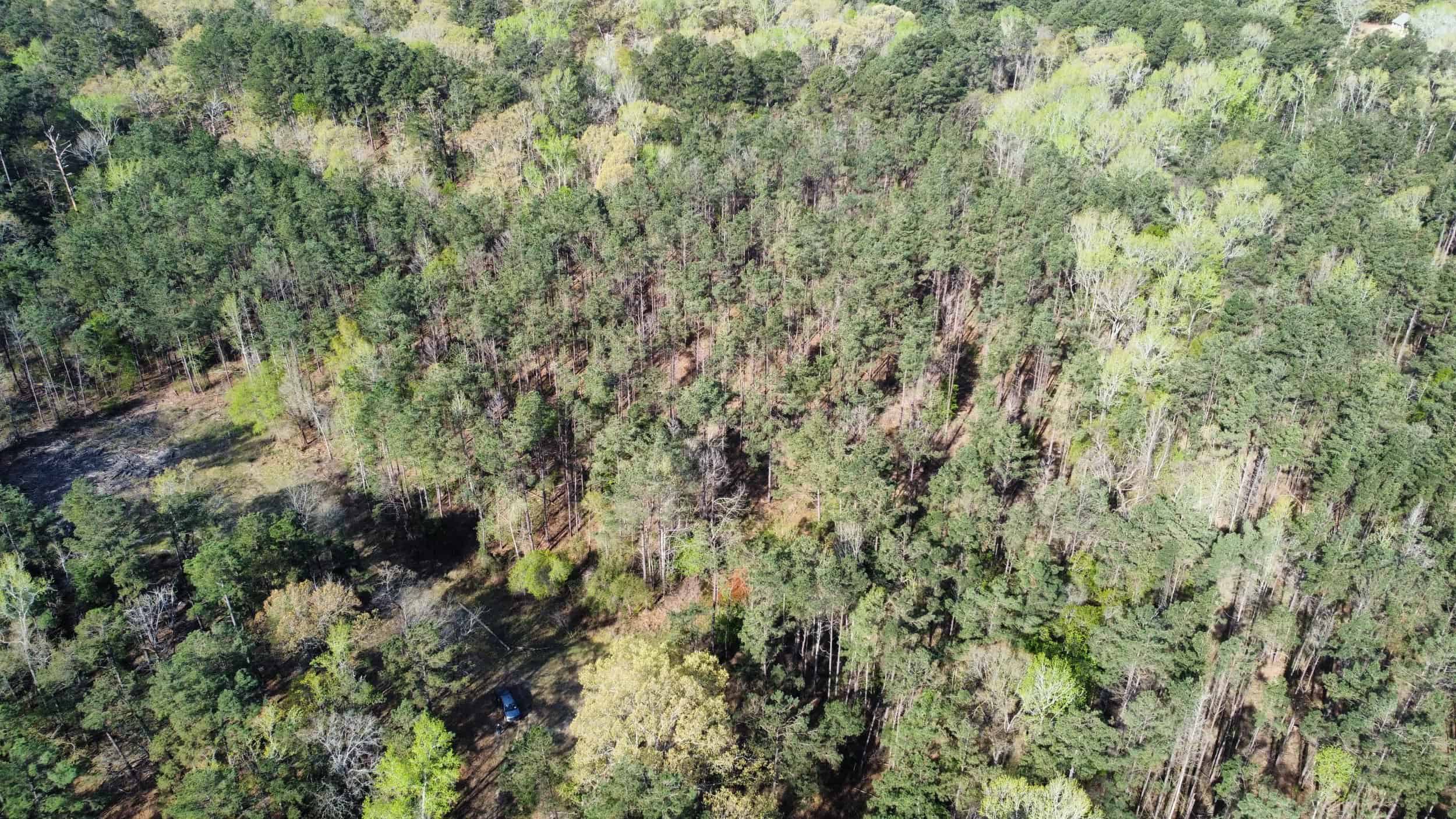 East Texas rural land for sale in Smith County