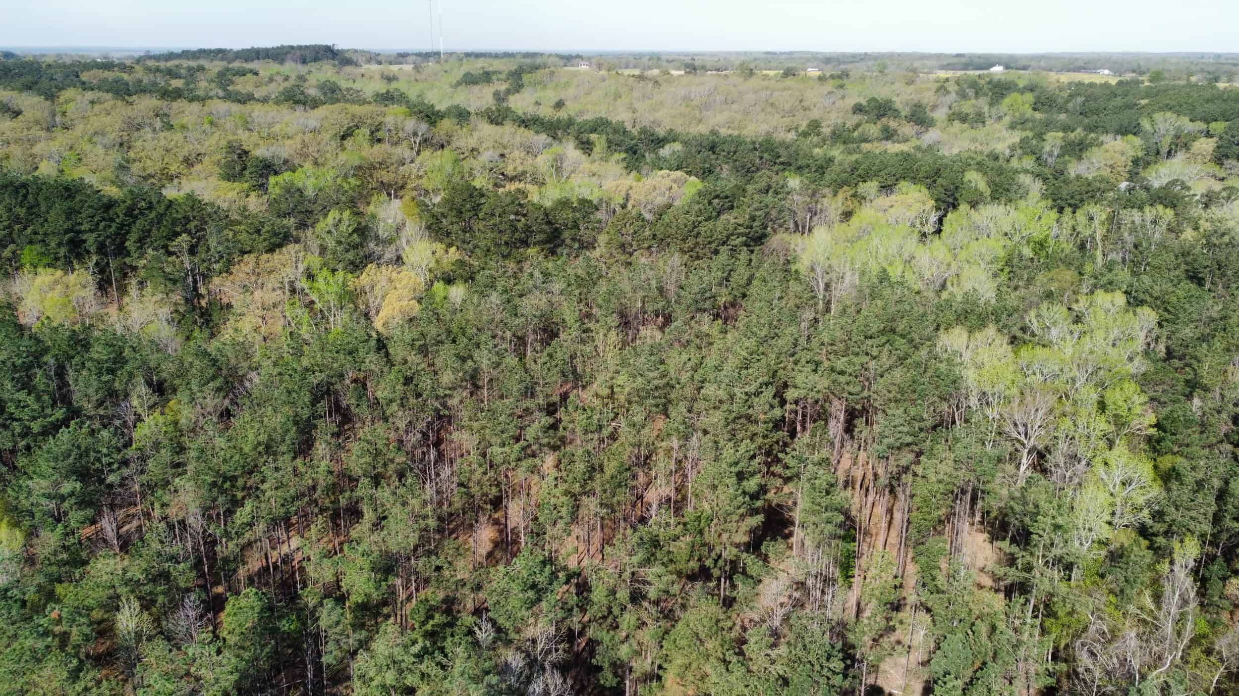 East Texas rural land for sale in Smith County