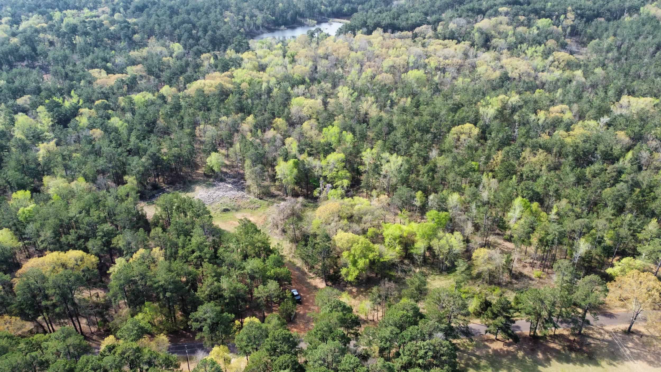 East Texas rural land for sale in Smith County