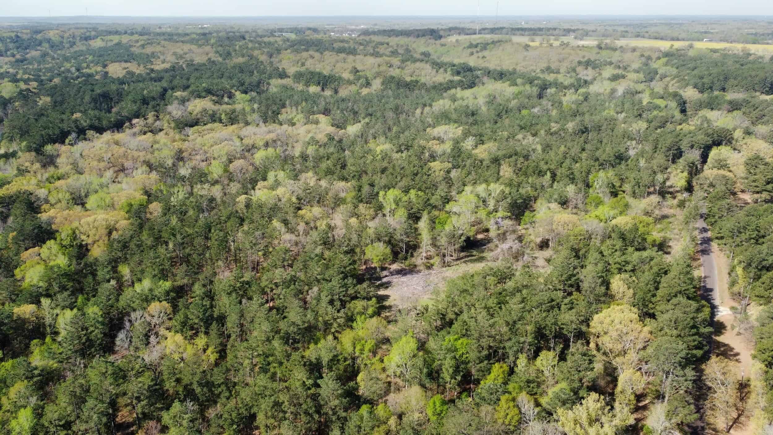 East Texas rural land for sale in Smith County